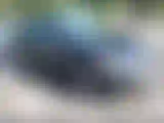 Vehicle Image- 2017 Hyundai Elantra