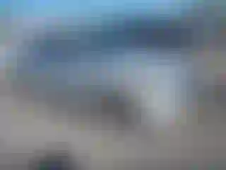 Vehicle Image- 2019 Hyundai Elantra