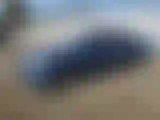 Vehicle Image- 2020 Hyundai Elantra