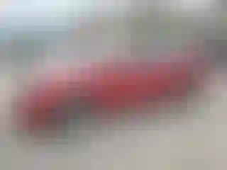 Vehicle Image- 2020 Hyundai Elantra