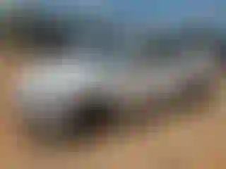 Vehicle Image- 2018 Hyundai Elantra