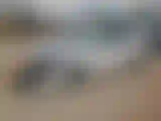 Vehicle Image- 2019 Hyundai Elantra