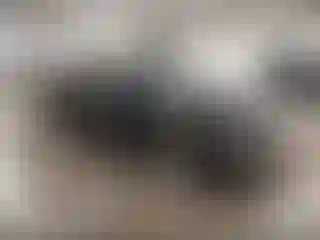 Vehicle Image- 2020 Hyundai Elantra
