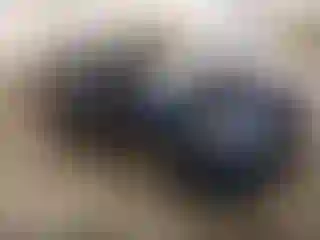 Vehicle Image- 2020 Hyundai Elantra