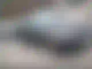 Vehicle Image- 2017 Hyundai Elantra