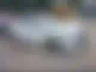 Vehicle Image- 2019 Hyundai Elantra