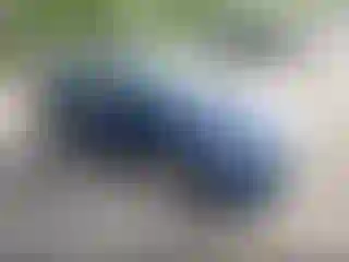 Vehicle Image- 2019 Hyundai Elantra