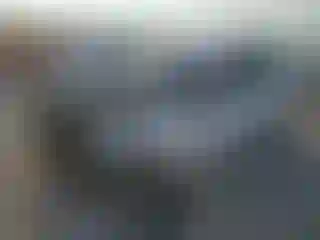 Vehicle Image- 2019 Hyundai Elantra