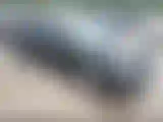 Vehicle Image- 2020 Hyundai Elantra