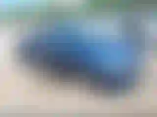 Vehicle Image- 2019 Hyundai Elantra