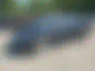 Vehicle Image- 2020 Hyundai Elantra