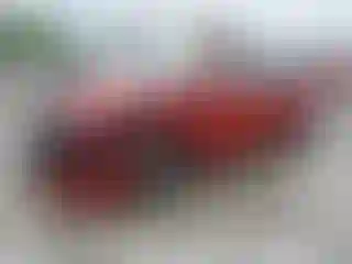 Vehicle Image- 2017 Hyundai Elantra
