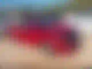 Vehicle Image- 2019 Hyundai Elantra