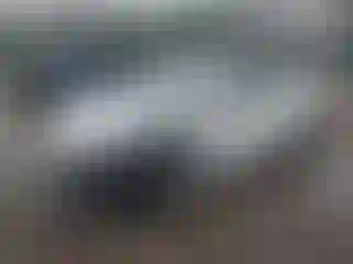 Vehicle Image- 2020 Hyundai Elantra