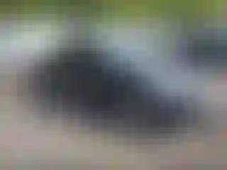 Vehicle Image- 2013 Hyundai Elantra