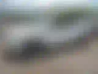 Vehicle Image- 2013 Hyundai Elantra