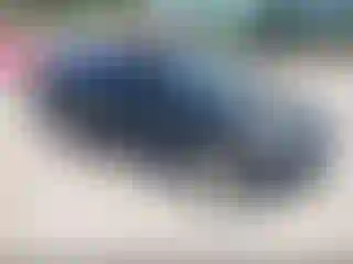 Vehicle Image- 2016 Hyundai Elantra