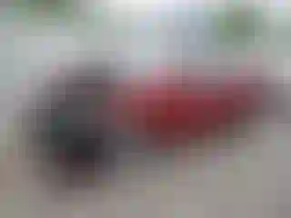 Vehicle Image- 2016 Hyundai Elantra