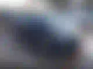 Vehicle Image- 2013 Hyundai Elantra