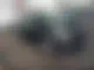 Vehicle Image- 2013 Hyundai Elantra