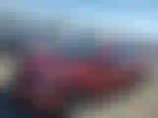 Vehicle Image- 2014 Hyundai Elantra