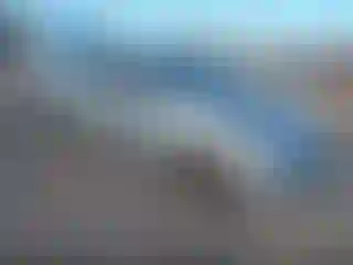 Vehicle Image- 2014 Hyundai Elantra