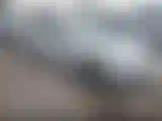 Vehicle Image- 2014 Hyundai Elantra