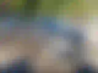 Vehicle Image- 2011 Hyundai Elantra