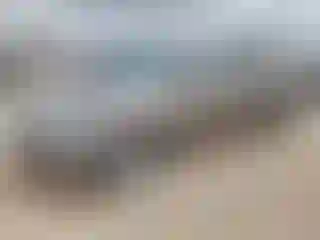 Vehicle Image- 2014 Hyundai Elantra