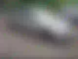 Vehicle Image- 2014 Hyundai Elantra