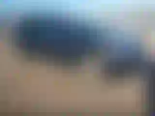 Vehicle Image- 2014 Hyundai Elantra