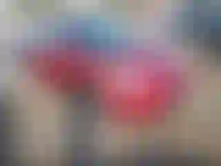 Vehicle Image- 2015 Hyundai Elantra