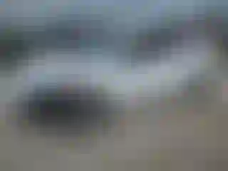 Vehicle Image- 2016 Hyundai Elantra