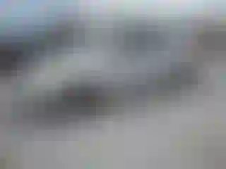 Vehicle Image- 2013 Hyundai Elantra