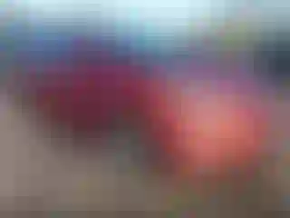 Vehicle Image- 2016 Hyundai Elantra