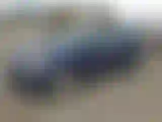 Vehicle Image- 2013 Hyundai Elantra