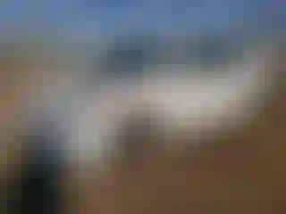 Vehicle Image- 2013 Hyundai Elantra