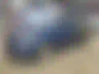 Vehicle Image- 2015 Hyundai Elantra