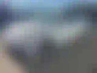 Vehicle Image- 2016 Hyundai Elantra