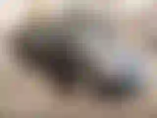 Vehicle Image- 2013 Hyundai Elantra