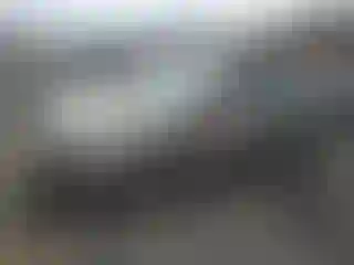 Vehicle Image- 2014 Hyundai Elantra