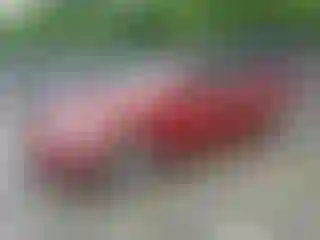 Vehicle Image- 2014 Hyundai Elantra