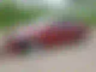 Vehicle Image- 2016 Hyundai Elantra