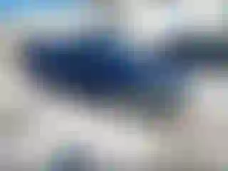 Vehicle Image- 2016 Hyundai Elantra