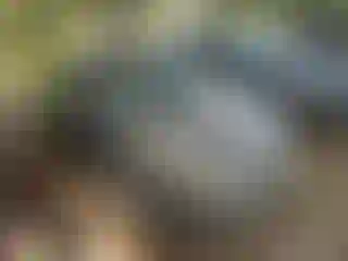 Vehicle Image- 2013 Hyundai Elantra