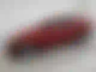 Vehicle Image- 2014 Hyundai Elantra