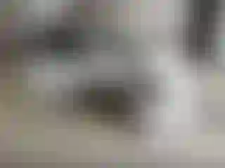 Vehicle Image- 2016 Hyundai Elantra