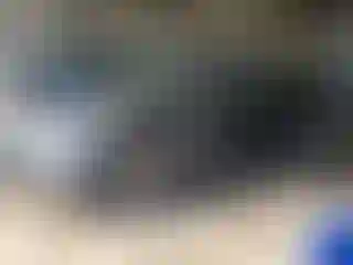 Vehicle Image- 2011 Hyundai Elantra