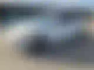Vehicle Image- 2014 Hyundai Elantra