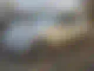 Vehicle Image- 2016 Hyundai Elantra